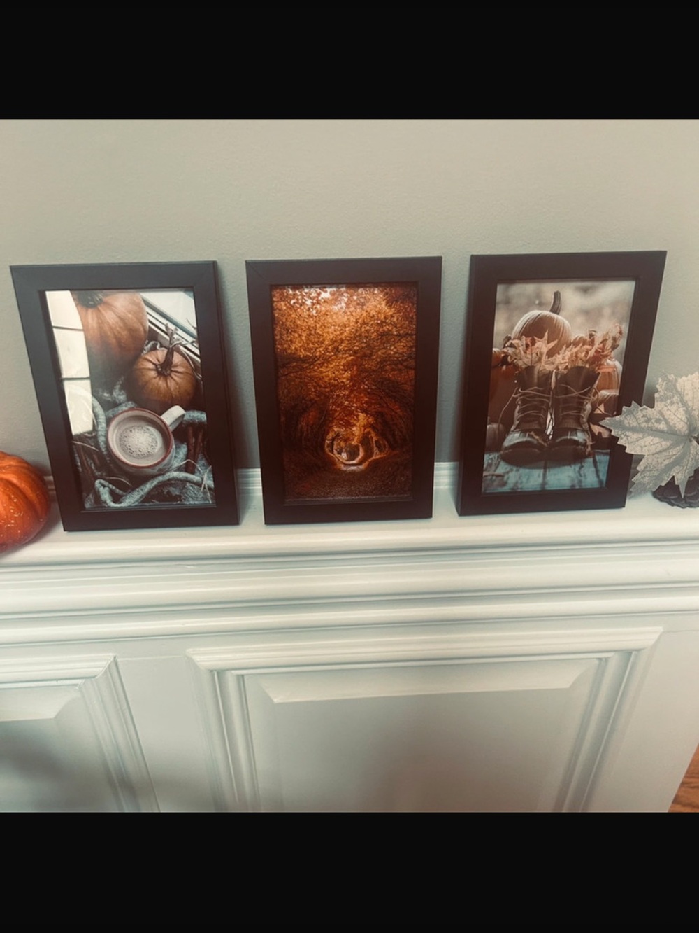 Autumn Trio Framed Wall Art Set - Brown & Black 4x6 New
